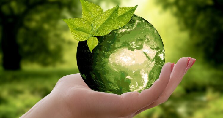 Wat zijn de vier principes van duurzaamheid