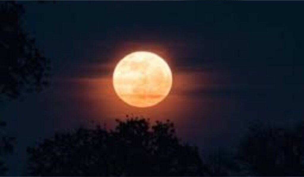 Volle Maan en Dromen