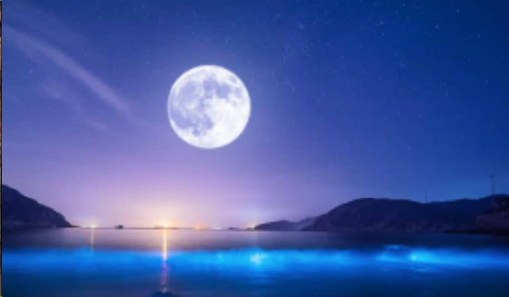 Volle Maan