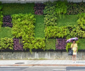 Groen wonen is veel meer dan planten tegen je muren