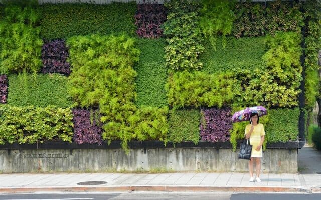 Groen wonen is veel meer dan planten tegen je muren