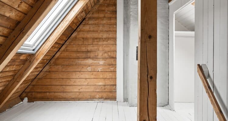 Een duurzamere woning met een nieuw dakraam: handige informatie en tips