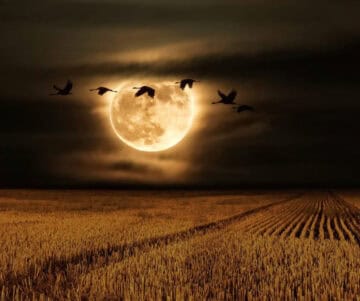 Volle Maan Uitleg: Ontstaan, Afstand en Getijden